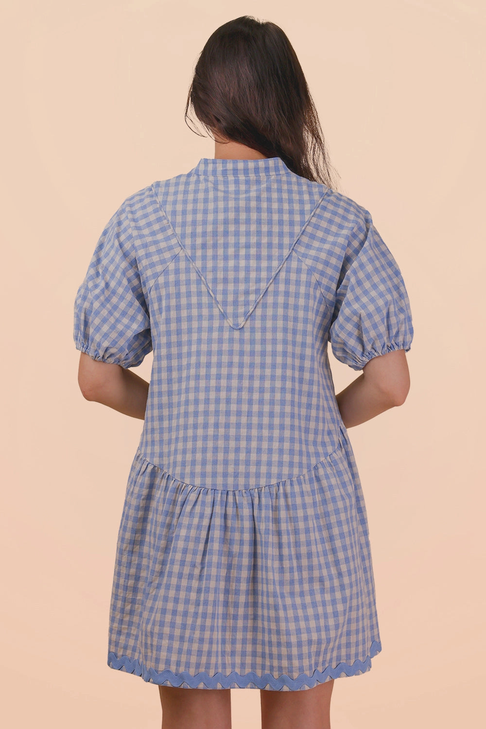 Blue Checkered Button Dress