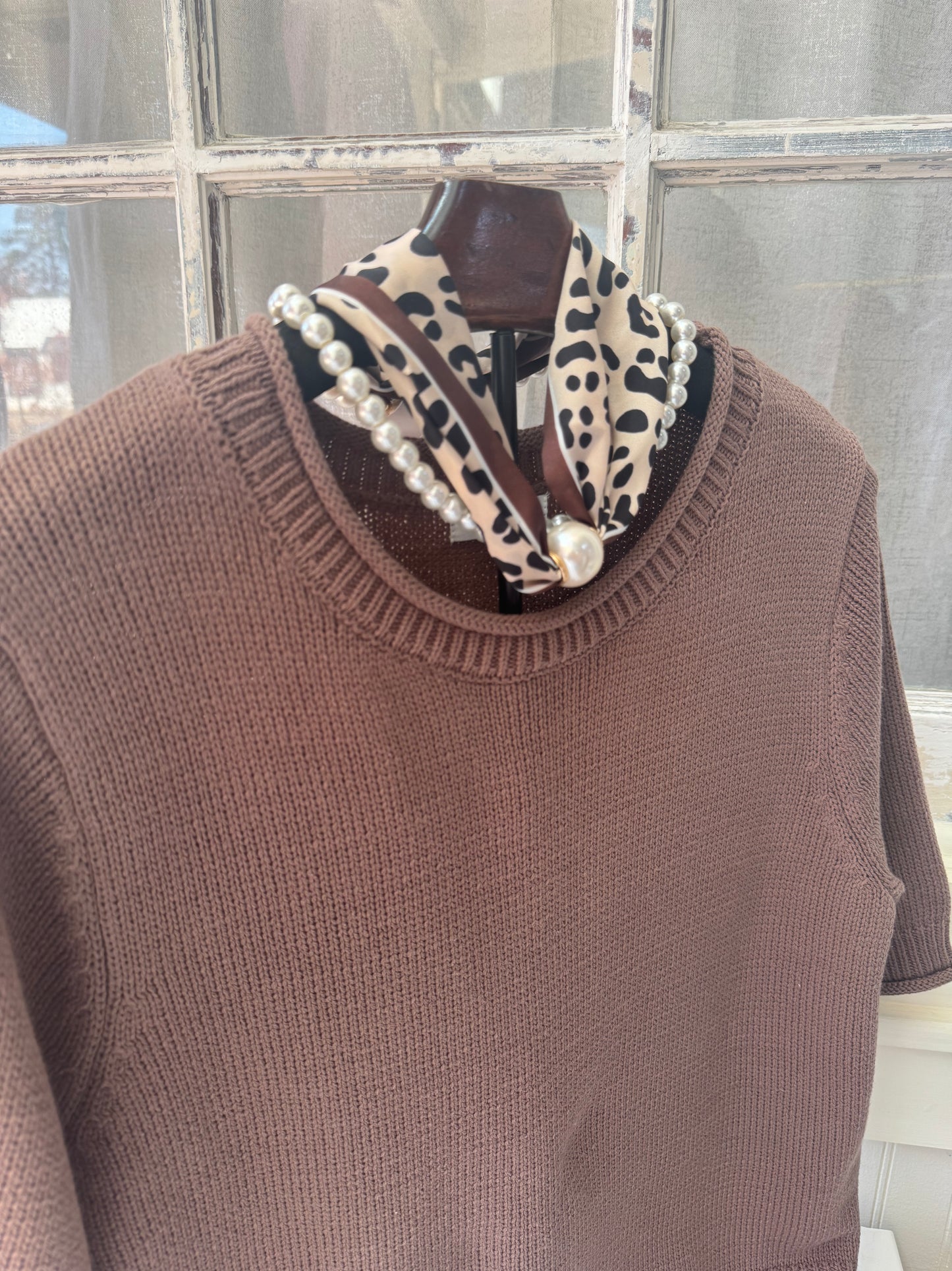 Brown Simple Short Sleeve Sweater