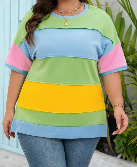 Color Block Plus Top