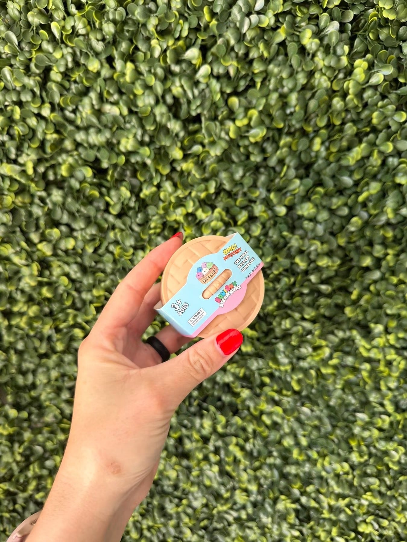 Mystery Mini Dumpling Squishy