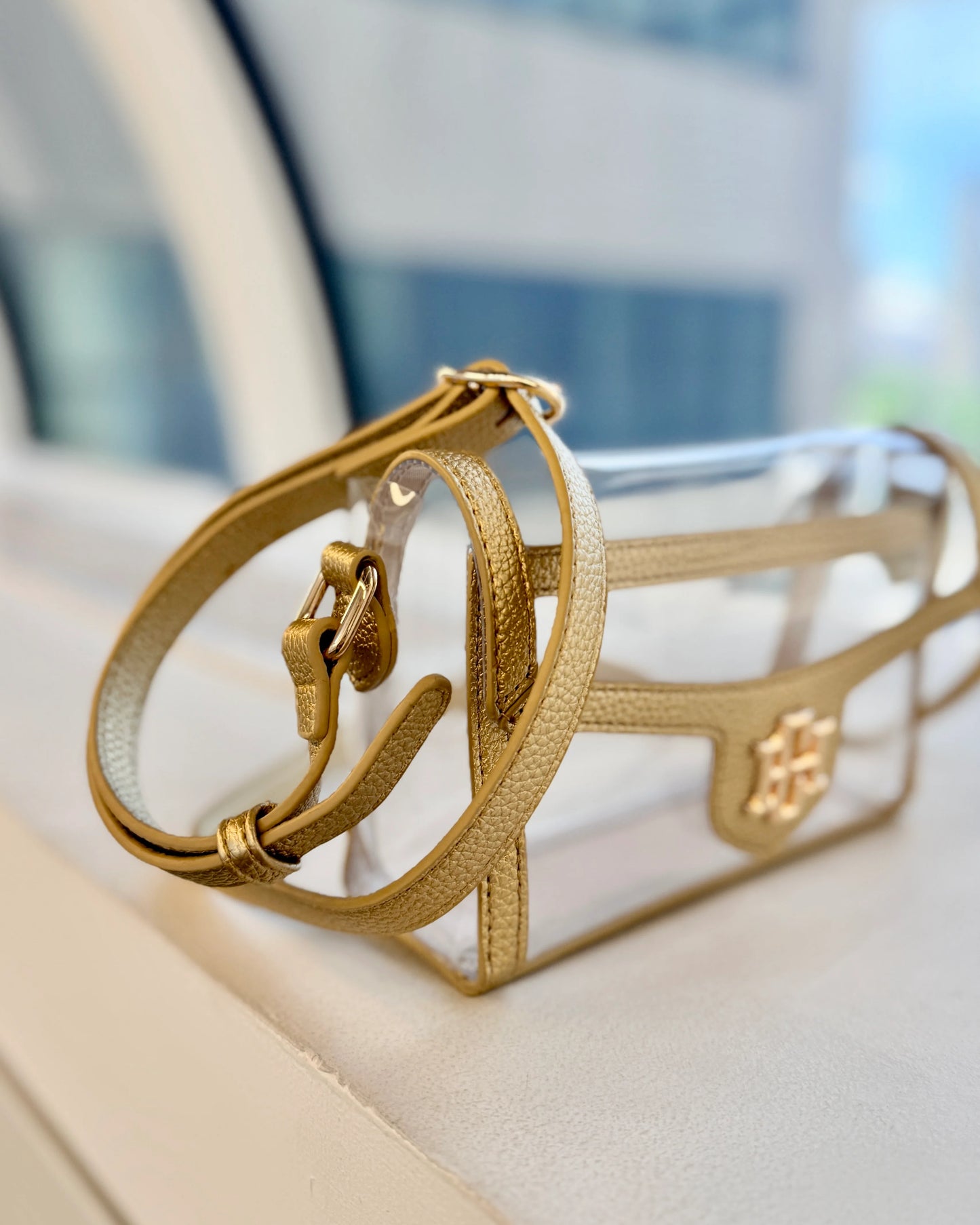 Caroline Hill Gold Clear Bag