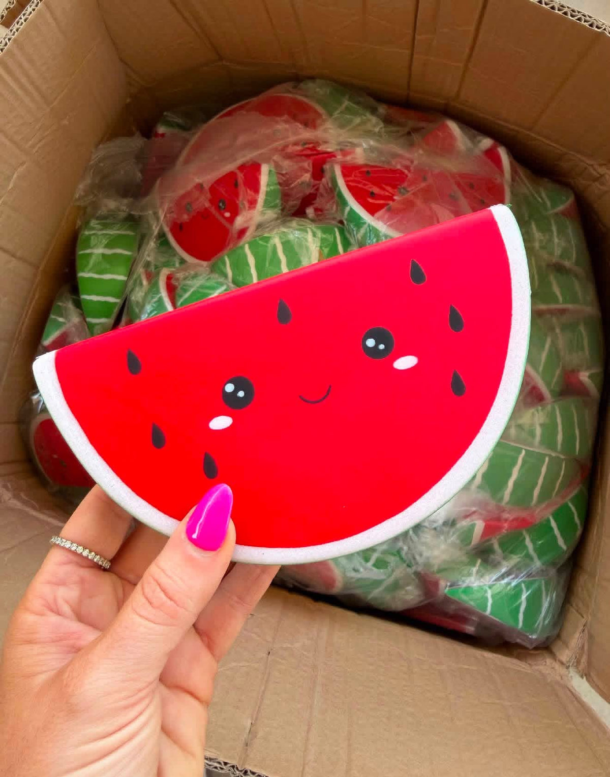 Watermelon Face Squishy