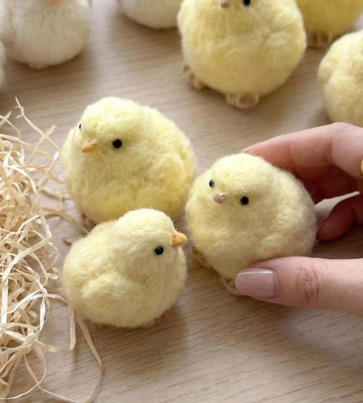 Baby Chick Squishy