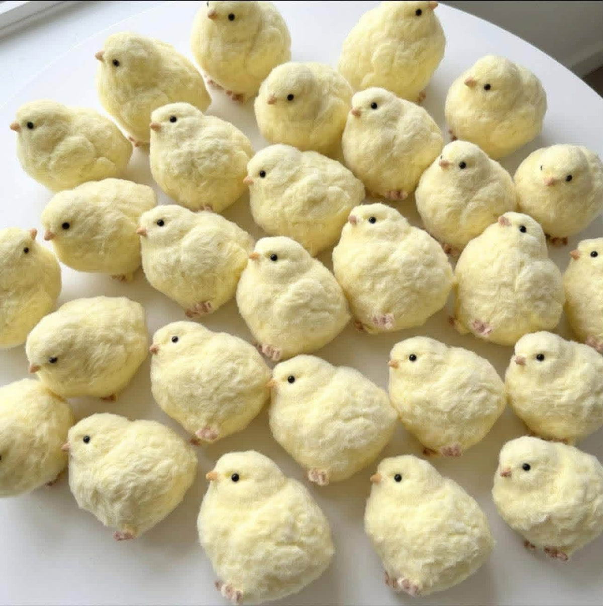 Baby Chick Squishy